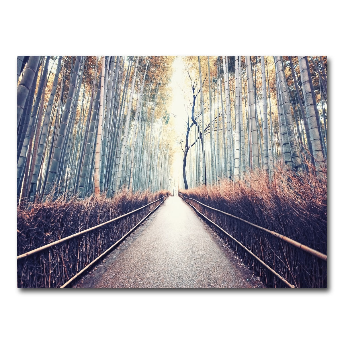 AUTO-MOCKUP WHITE | Bamboo Forest | 1 Piece | Gallery Wrap Canvas | group=4x3