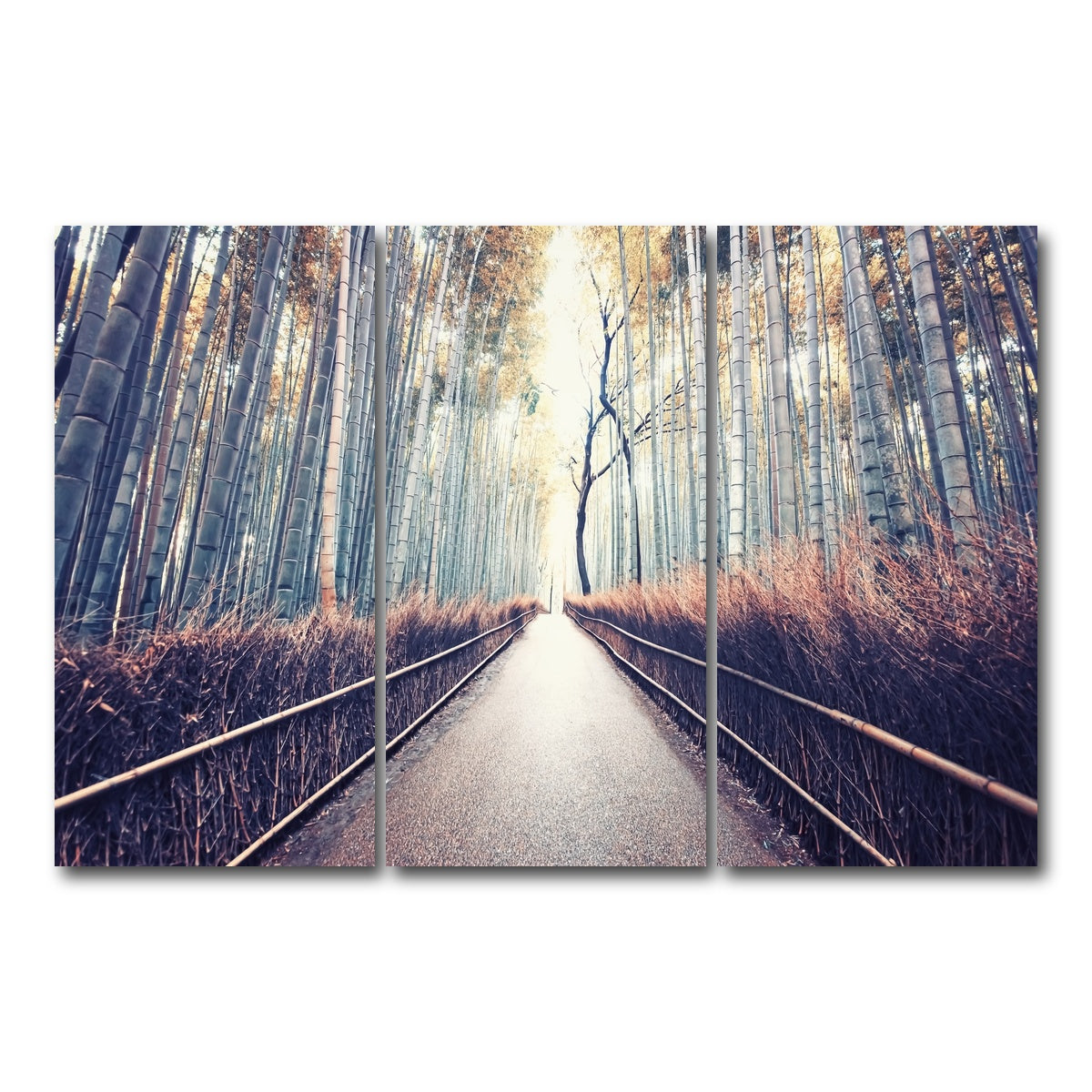 AUTO-MOCKUP WHITE | Bamboo Forest | 3 Piece | Gallery Wrap Canvas | group=12x24