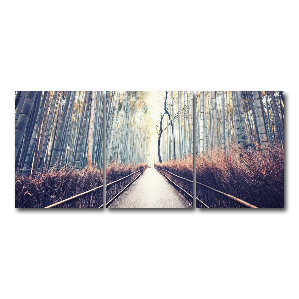 AUTO-MOCKUP WHITE | Bamboo Forest | 3 Piece | Gallery Wrap Canvas | group=18x24