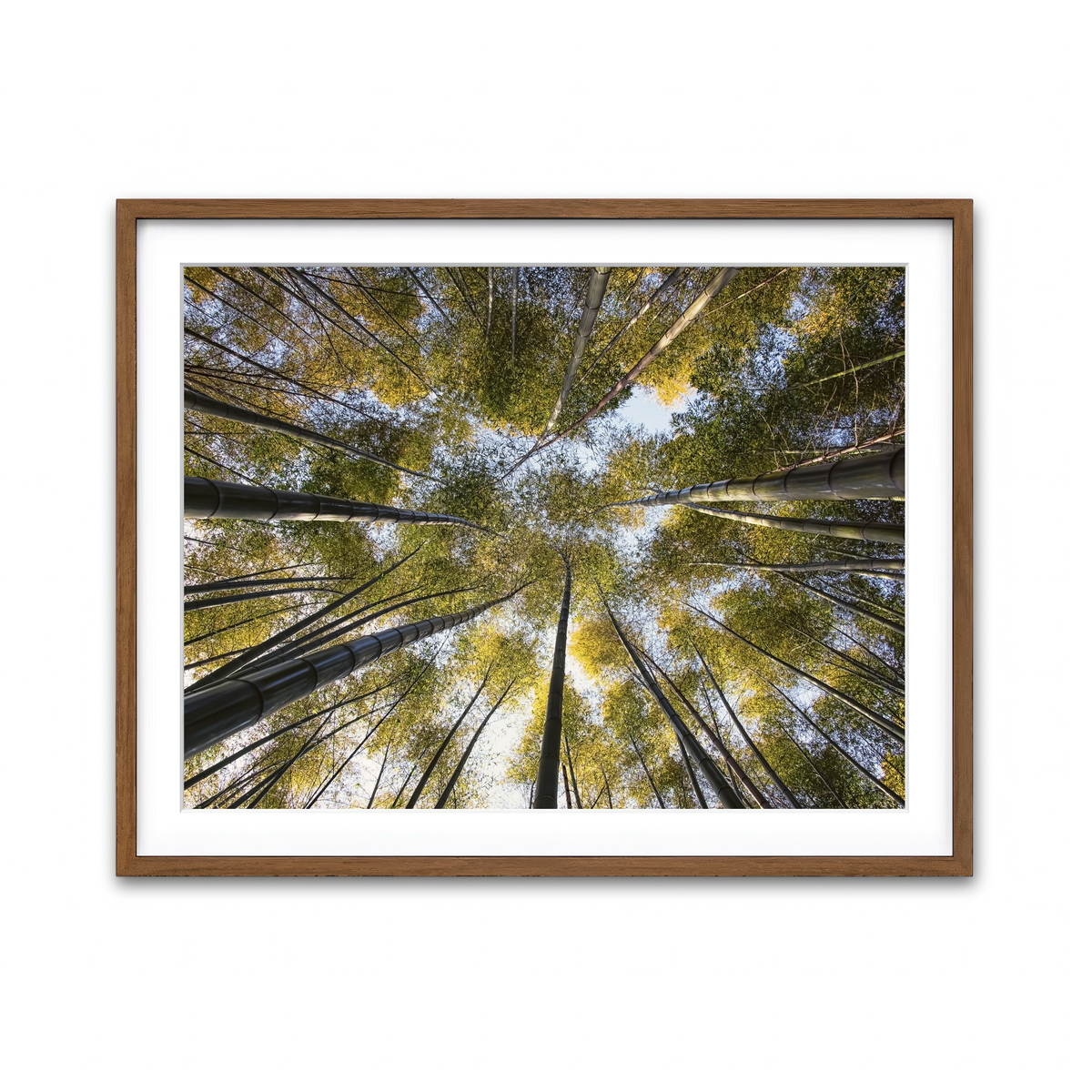 Framed Print 4x3 Walnut