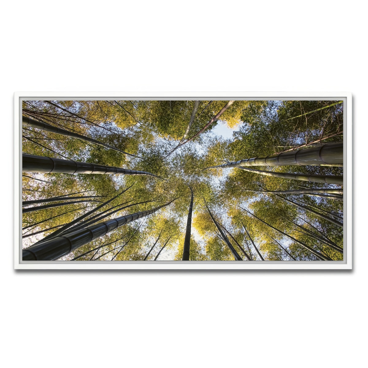 AUTO-MOCKUP WHITE | Bamboo Grove | 1 Piece | White Framed Canvas | group=2x1