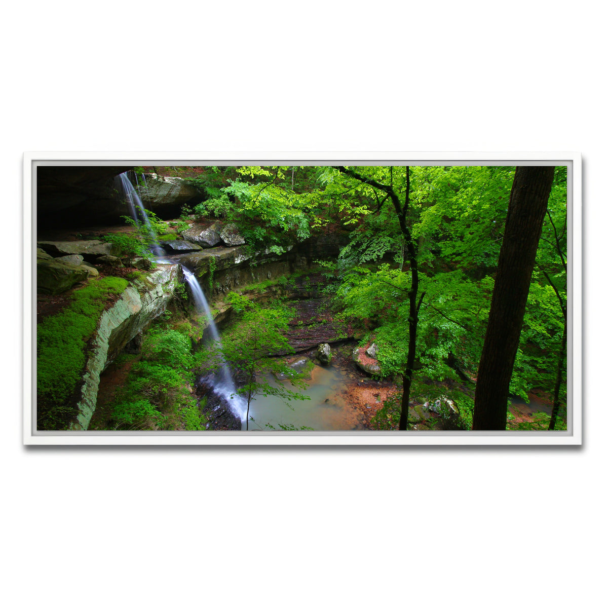 AUTO-MOCKUP WHITE | Bankhead National Forest | 1 Piece | White Framed Canvas | group=2x1