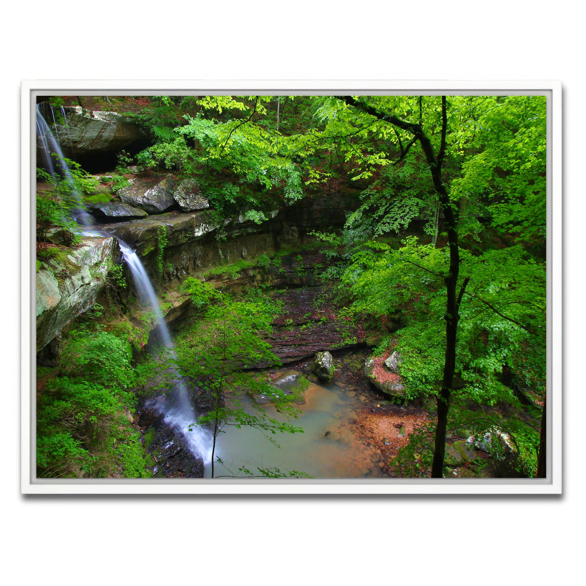 AUTO-MOCKUP WHITE | Bankhead National Forest | 1 Piece | White Framed Canvas | group=4x3