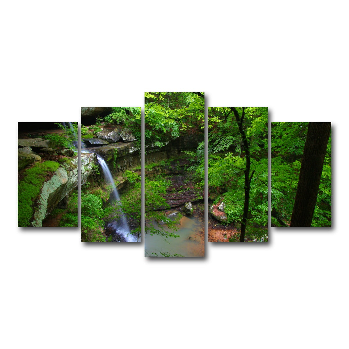 AUTO-MOCKUP WHITE | Bankhead National Forest | 5 Piece | Gallery Wrap Canvas | group=5_normal