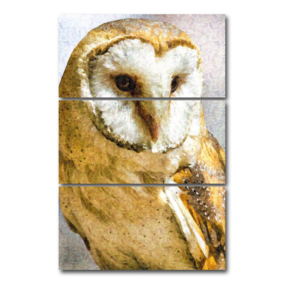 AUTO-MOCKUP WHITE | Barn Owl | 3 Piece | Gallery Wrap Canvas | group=12x24_stacked