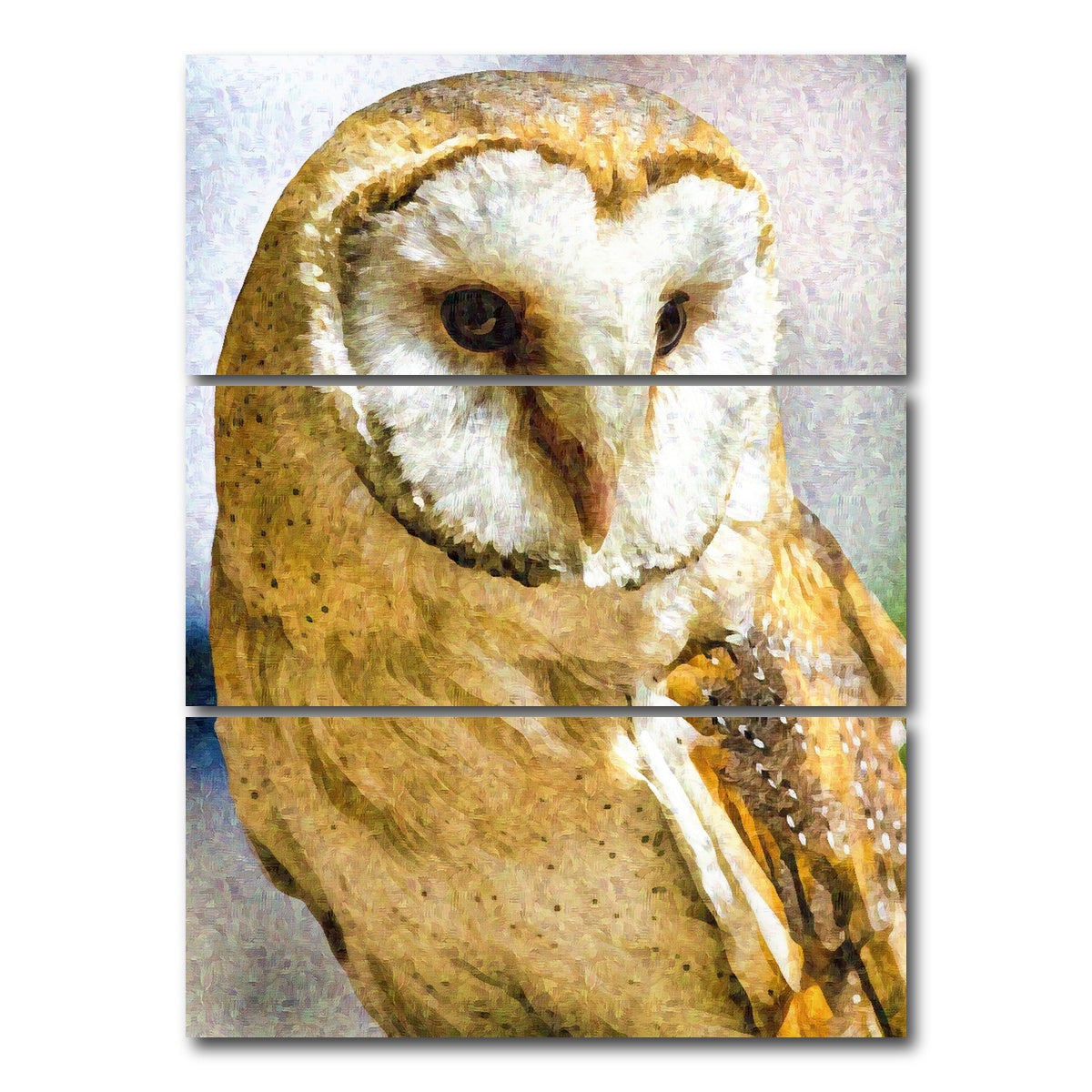 AUTO-MOCKUP WHITE | Barn Owl | 3 Piece | Gallery Wrap Canvas | group=8x18_stacked