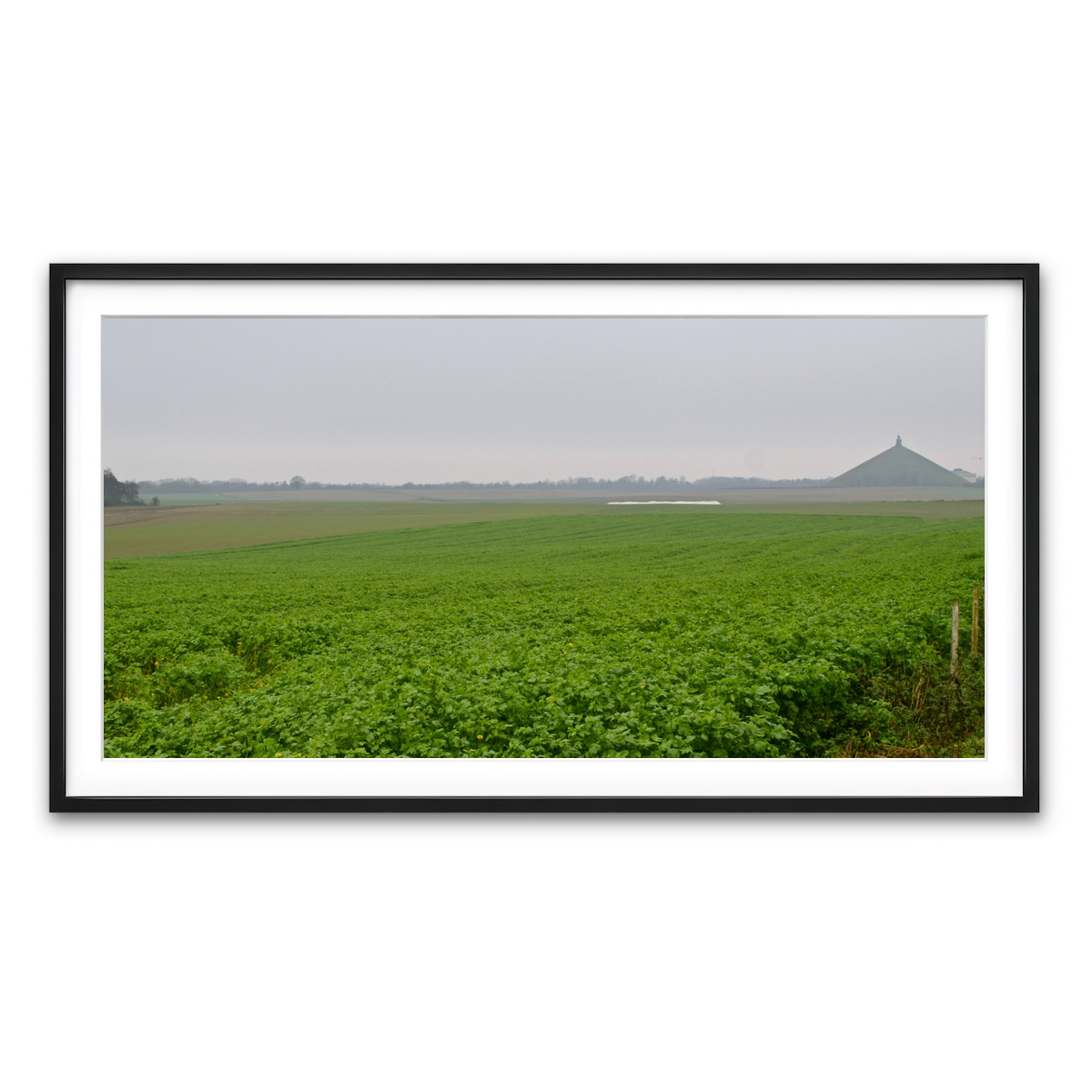 Framed Print 2x1 Black