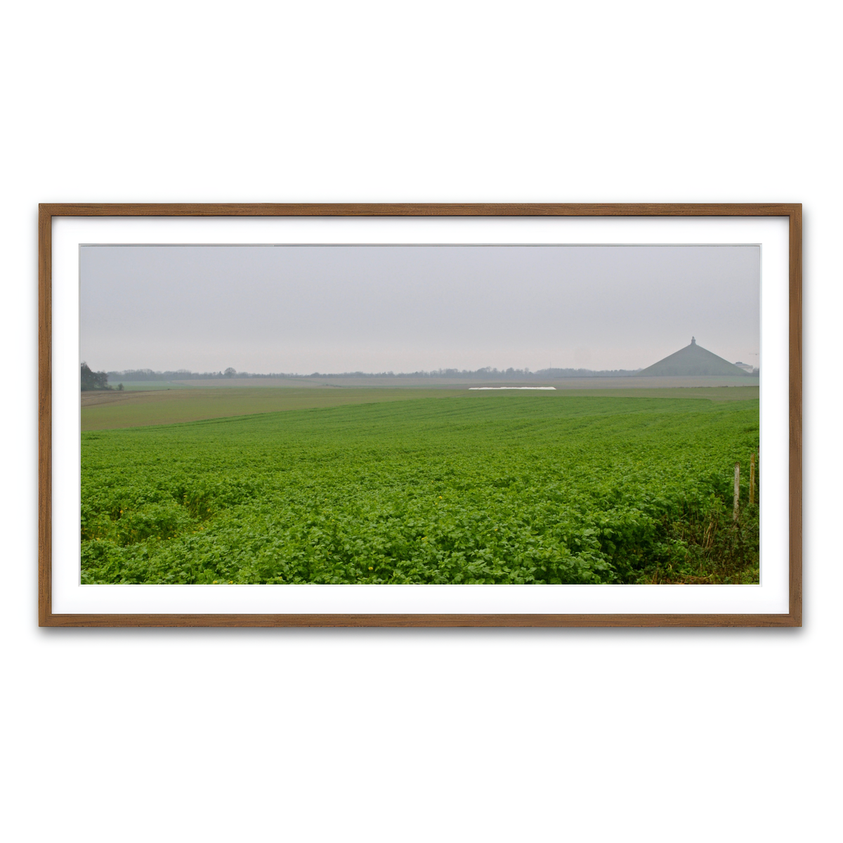 Framed Print 2x1 Walnut