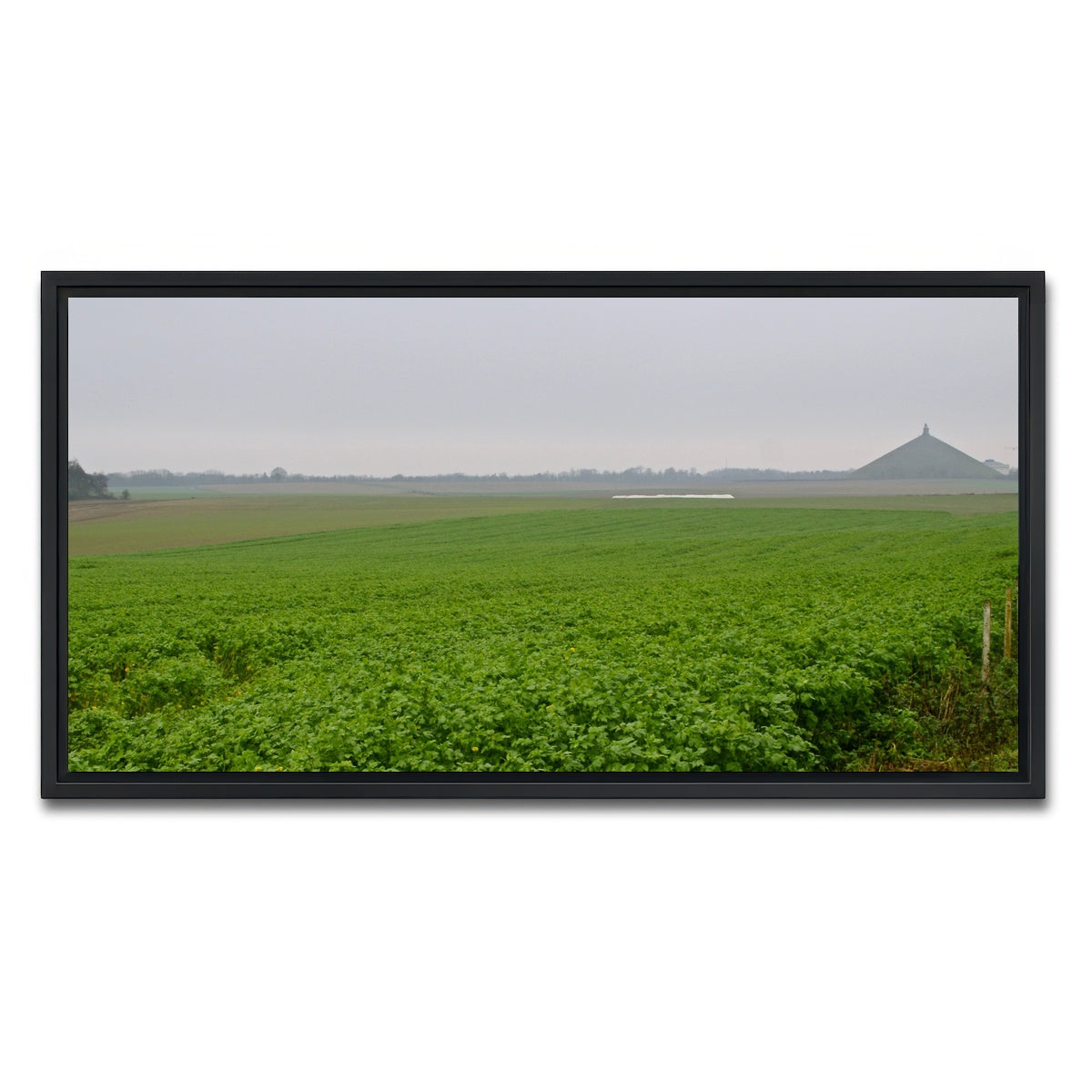 AUTO-MOCKUP WHITE | Battle of Waterloo | 1 Piece | Black Framed Canvas | group=2x1
