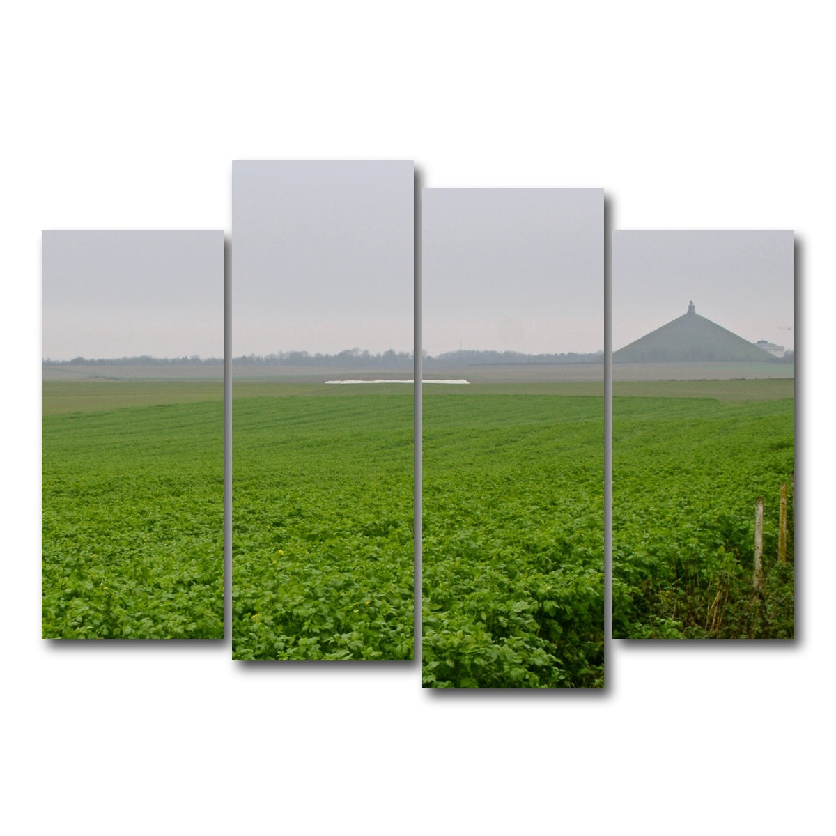 AUTO-MOCKUP WHITE | Battle of Waterloo | 4 Piece | Gallery Wrap Canvas | group=4_normal