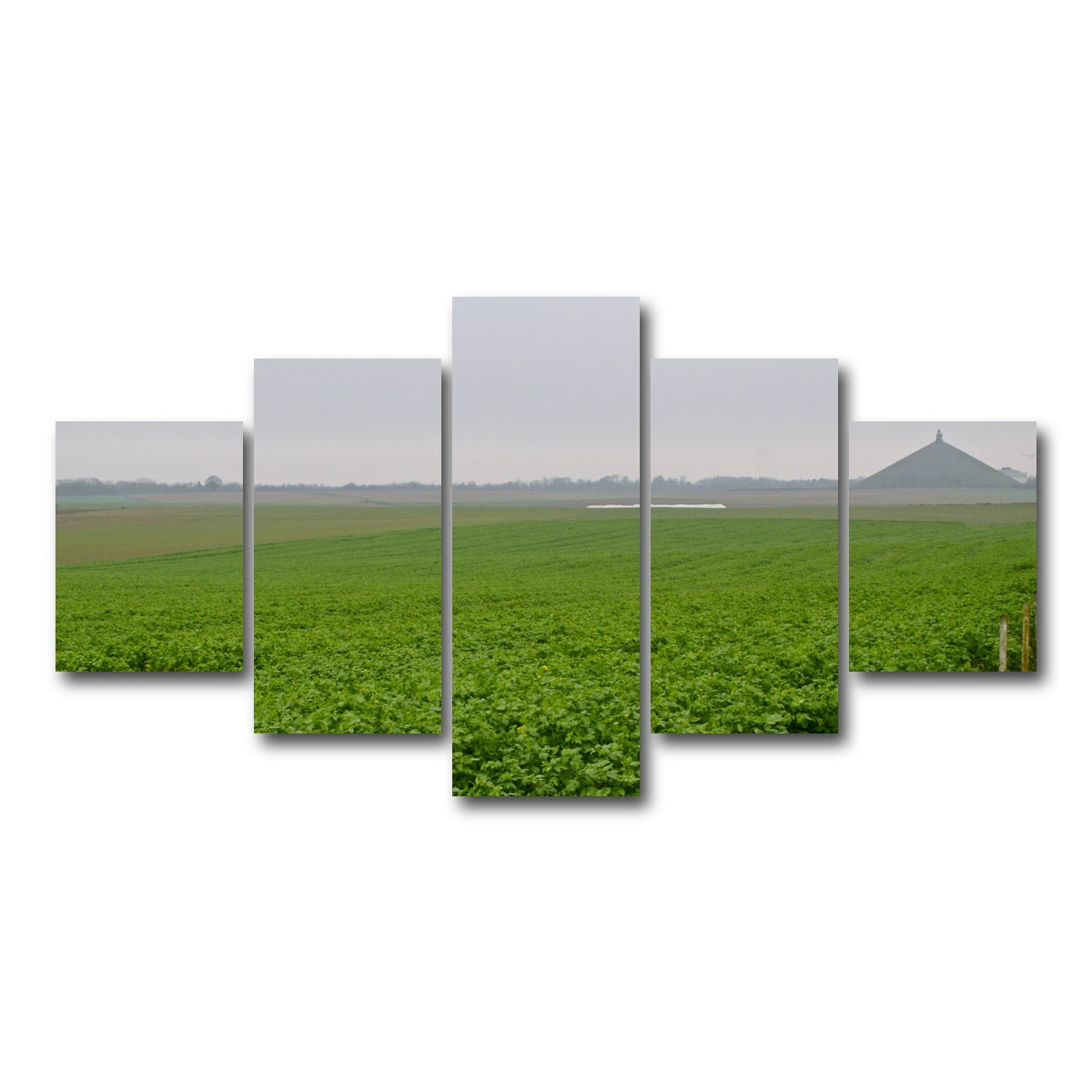 AUTO-MOCKUP WHITE | Battle of Waterloo | 5 Piece | Gallery Wrap Canvas | group=5_short