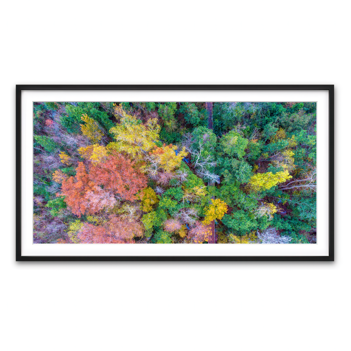 Framed Print 2x1 Black