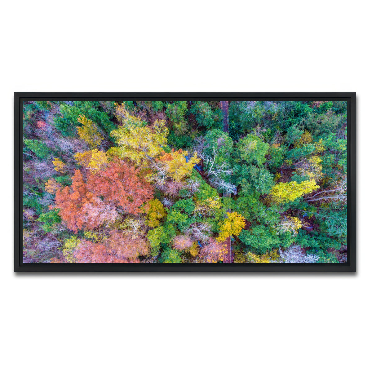 AUTO-MOCKUP WHITE | Bayfront Park nature boardwalk from above | 1 Piece | Black Framed Canvas | group=2x1