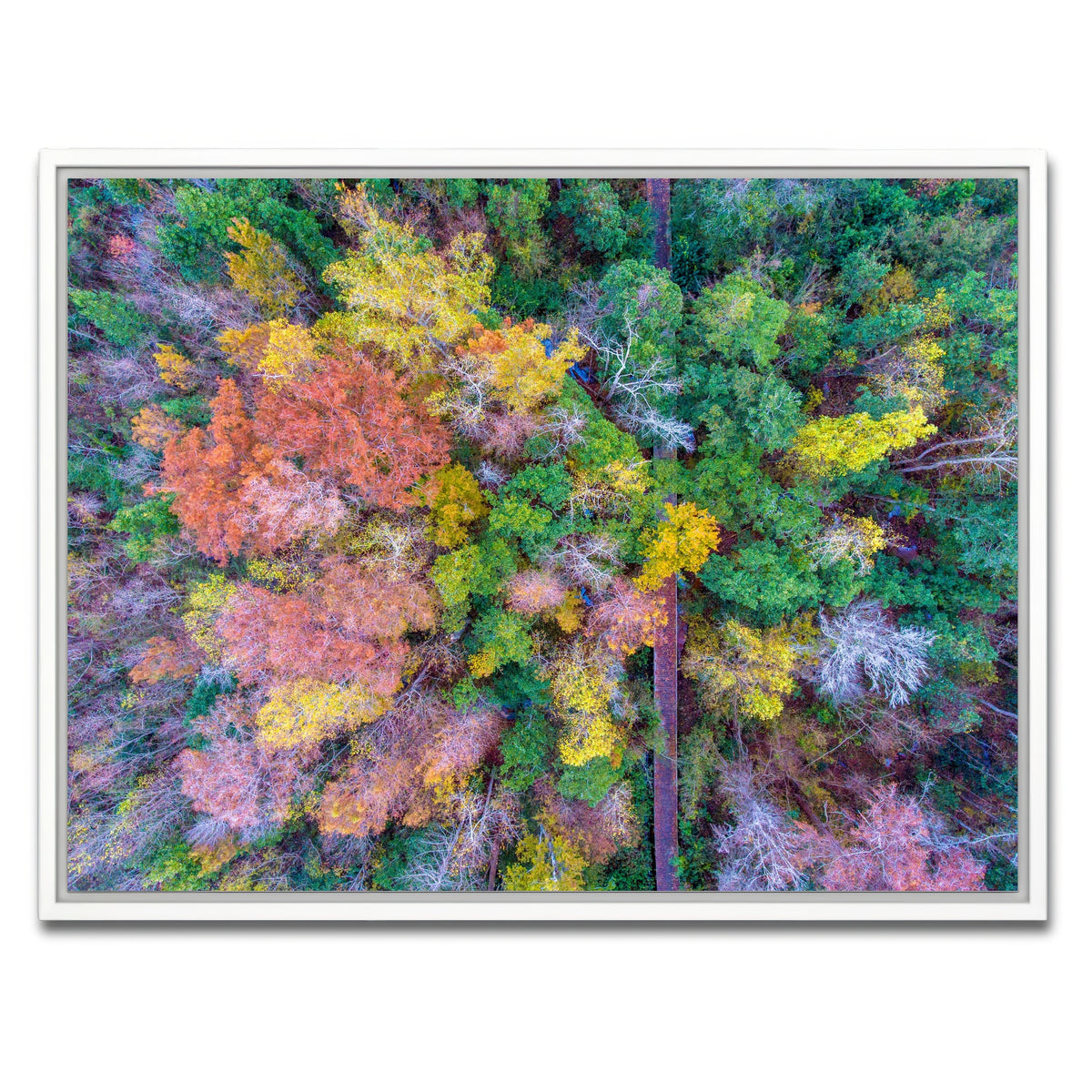 AUTO-MOCKUP WHITE | Bayfront Park nature boardwalk from above | 1 Piece | White Framed Canvas | group=4x3