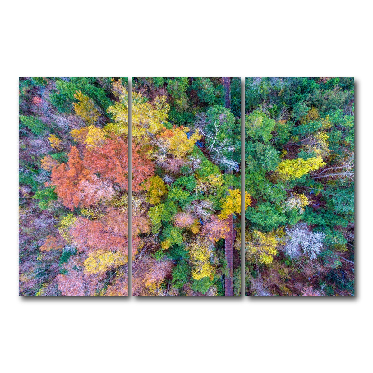 AUTO-MOCKUP WHITE | Bayfront Park nature boardwalk from above | 3 Piece | Gallery Wrap Canvas | group=12x24