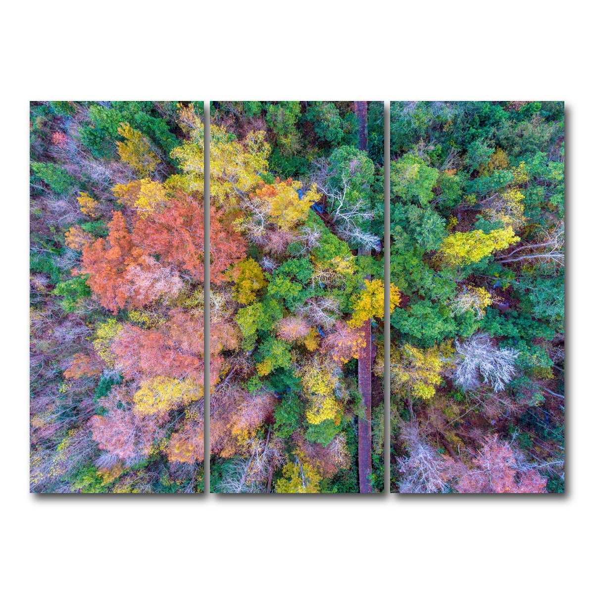 AUTO-MOCKUP WHITE | Bayfront Park nature boardwalk from above | 3 Piece | Gallery Wrap Canvas | group=8x18