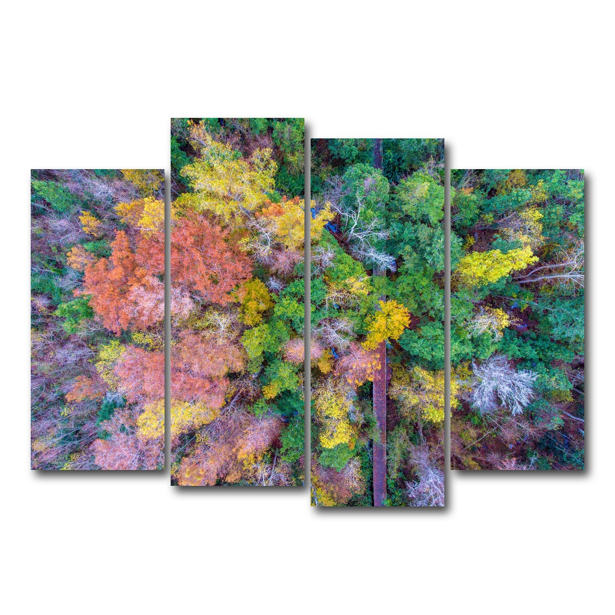 AUTO-MOCKUP WHITE | Bayfront Park nature boardwalk from above | 4 Piece | Gallery Wrap Canvas | group=4_normal