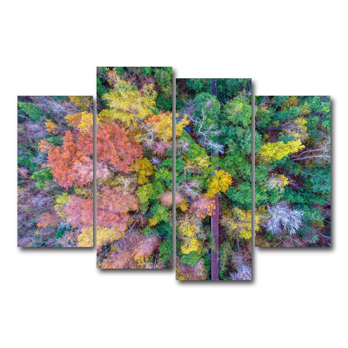 AUTO-MOCKUP WHITE | Bayfront Park nature boardwalk from above | 4 Piece | Gallery Wrap Canvas | group=4_short
