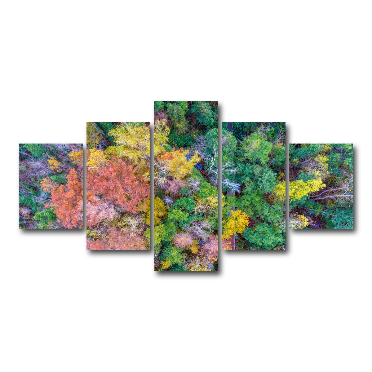 AUTO-MOCKUP WHITE | Bayfront Park nature boardwalk from above | 5 Piece | Gallery Wrap Canvas | group=5_short