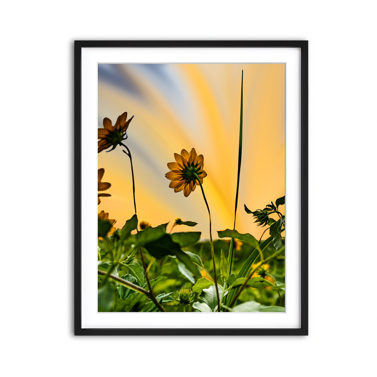Framed Print 3x4 Black