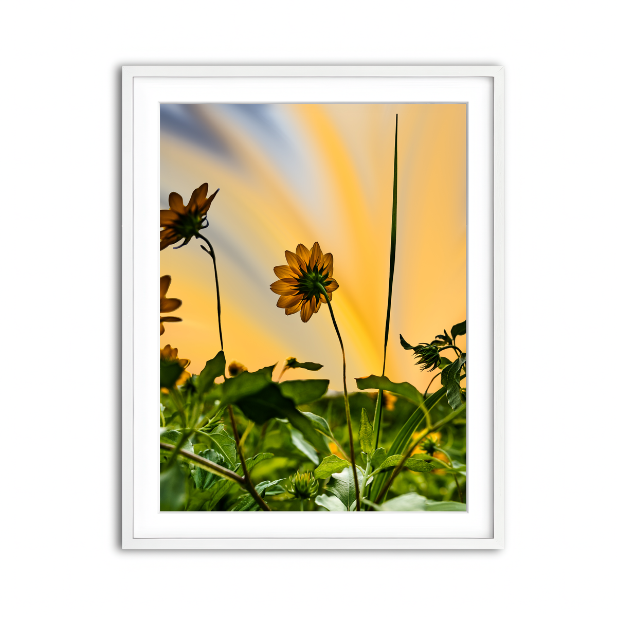 Framed Print 3x4 White