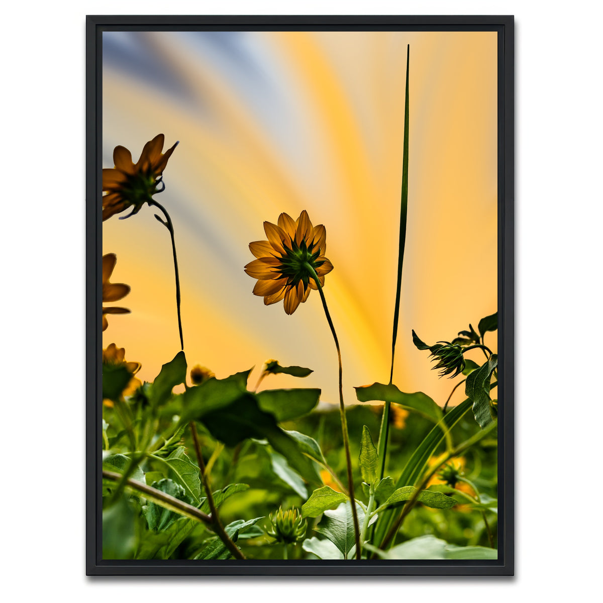 AUTO-MOCKUP WHITE | Beach Sunflowers | 1 Piece | Black Framed Canvas | group=3x4