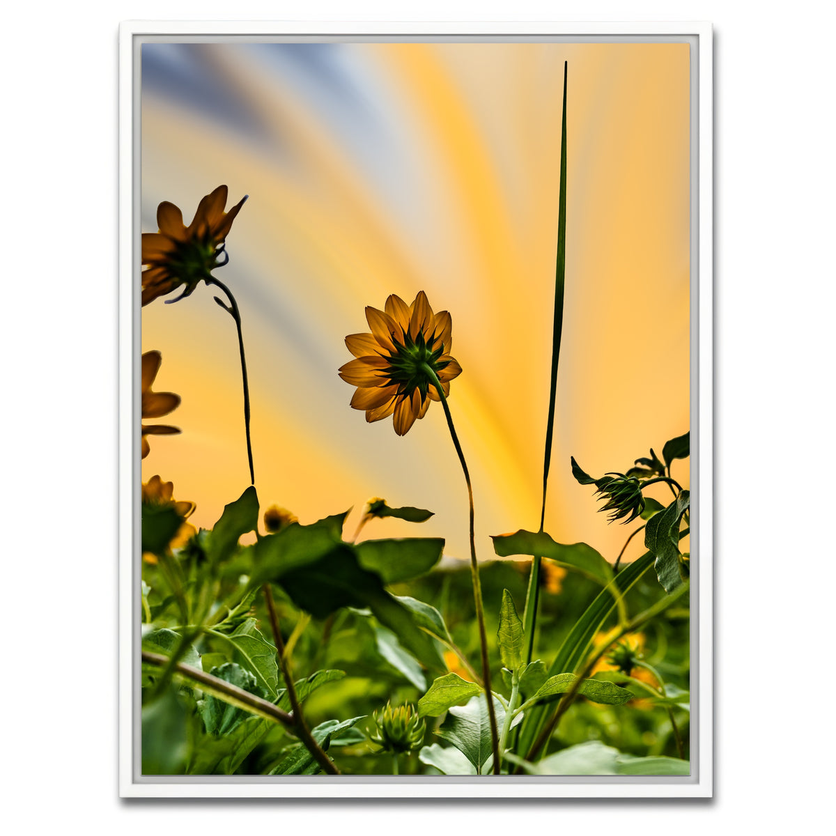 AUTO-MOCKUP WHITE | Beach Sunflowers | 1 Piece | White Framed Canvas | group=3x4