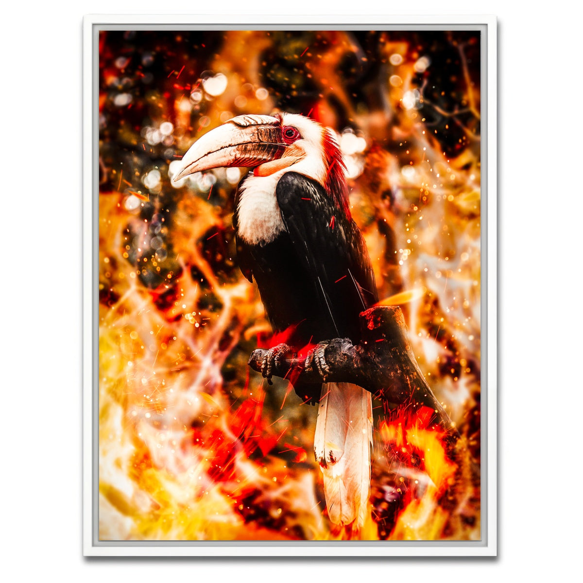 AUTO-MOCKUP WHITE | Beaked Wildlife | 1 Piece | White Framed Canvas | group=3x4