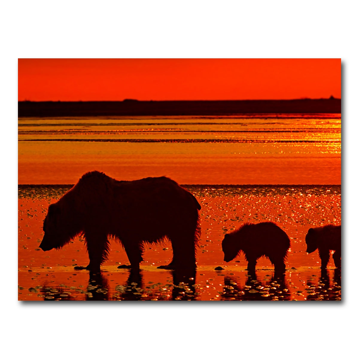 AUTO-MOCKUP WHITE | Bear & Her Cubs Wall Art | 1 Piece | Gallery Wrapped | group=4x3