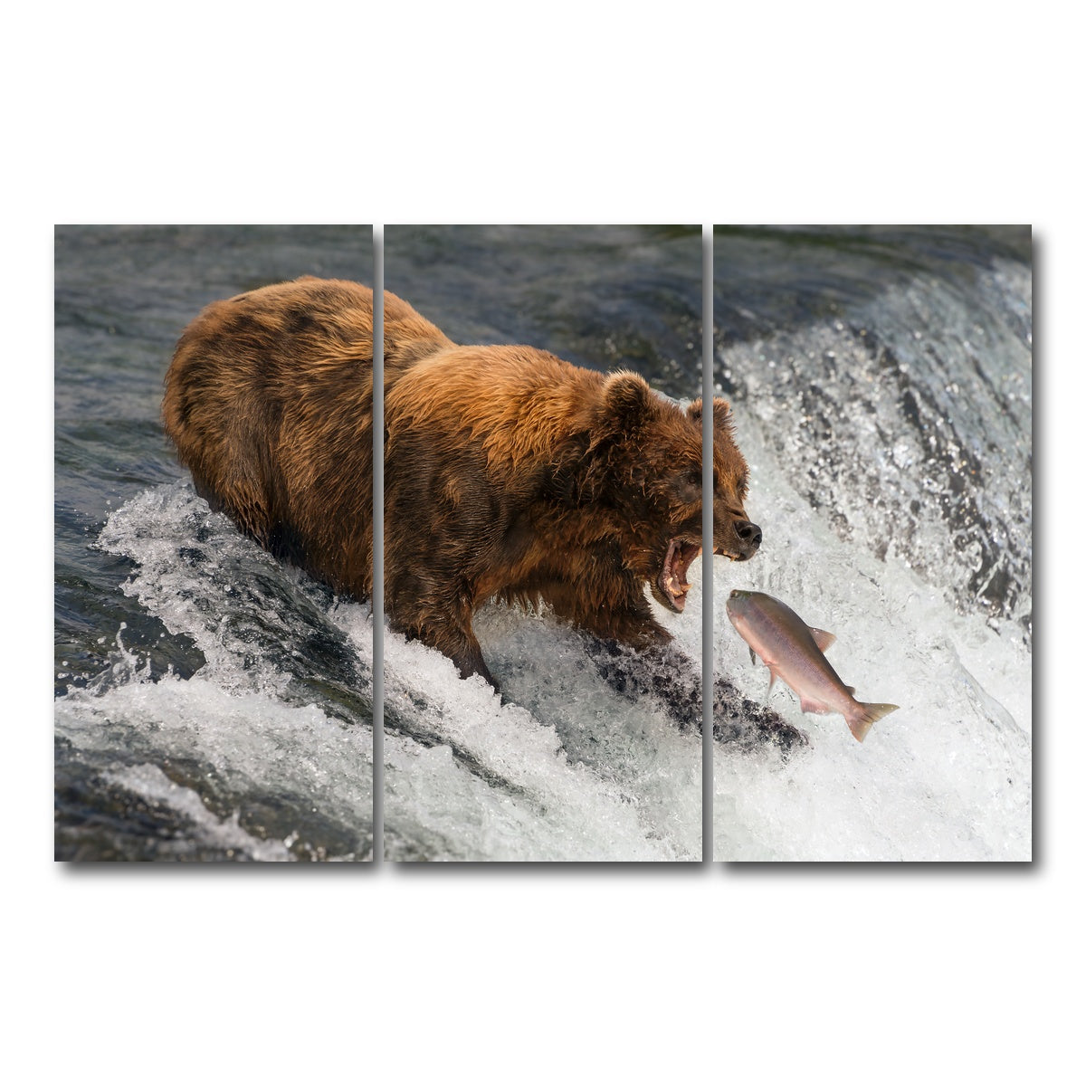 AUTO-MOCKUP WHITE | Bear catching Salmon | 3 Piece | Gallery Wrap Canvas | group=12x24