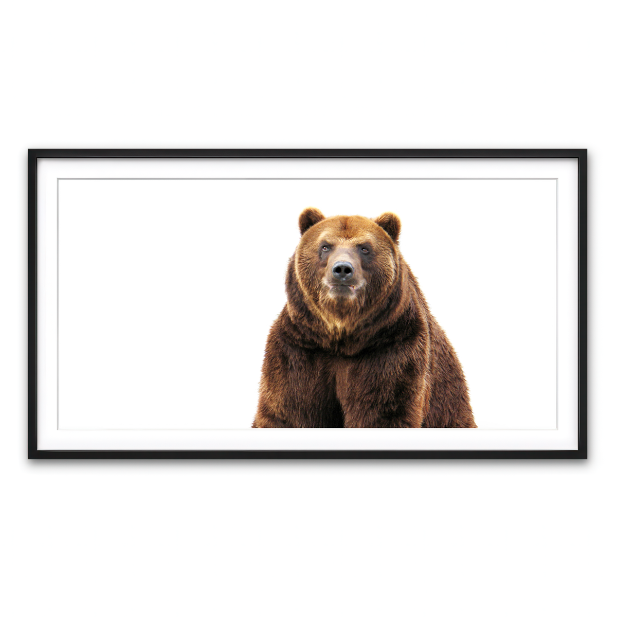 Framed Print 2x1 Black