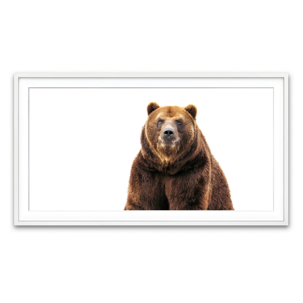 Framed Print 2x1 White