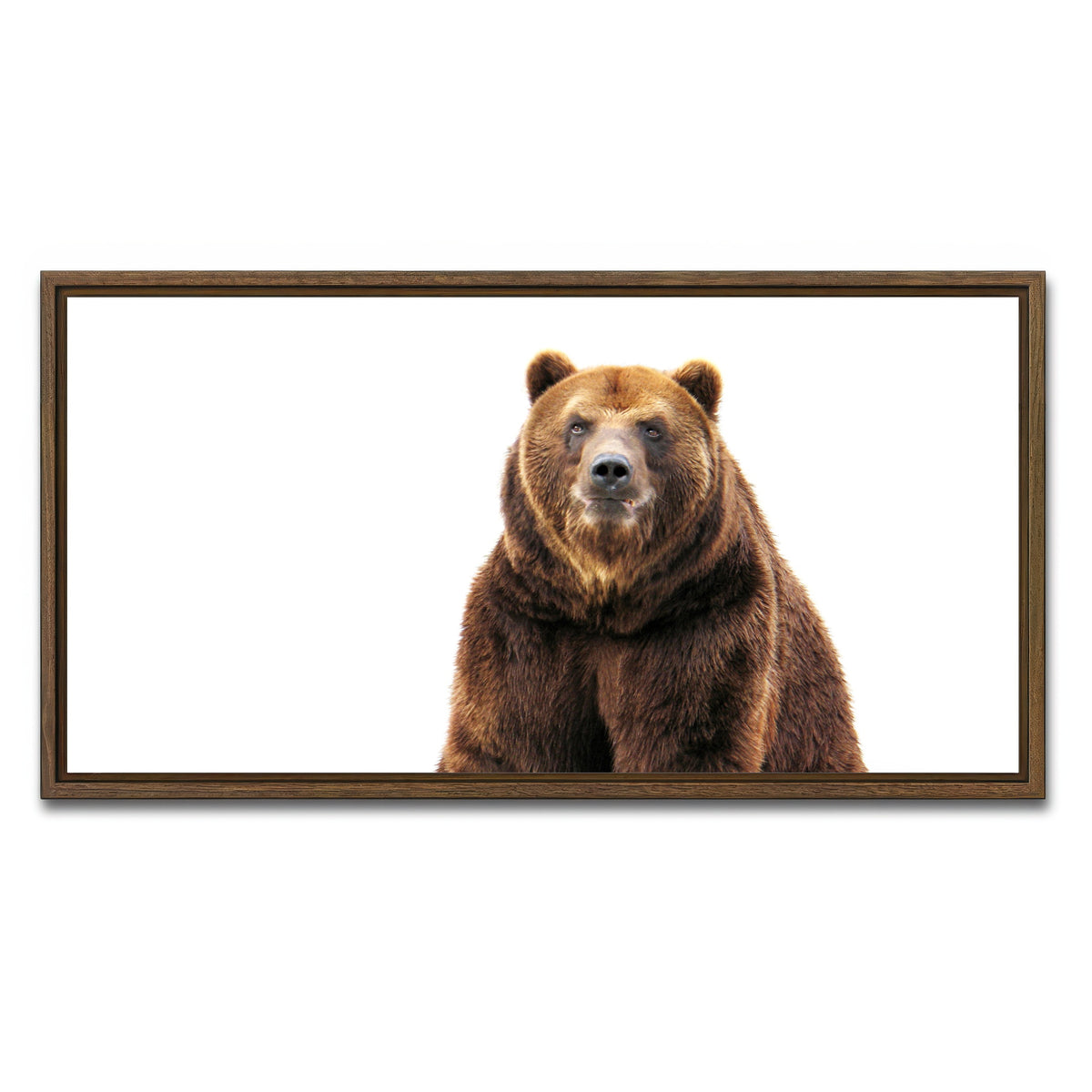 AUTO-MOCKUP WHITE | Bear on white | 1 Piece | Walnut Framed Canvas | group=2x1