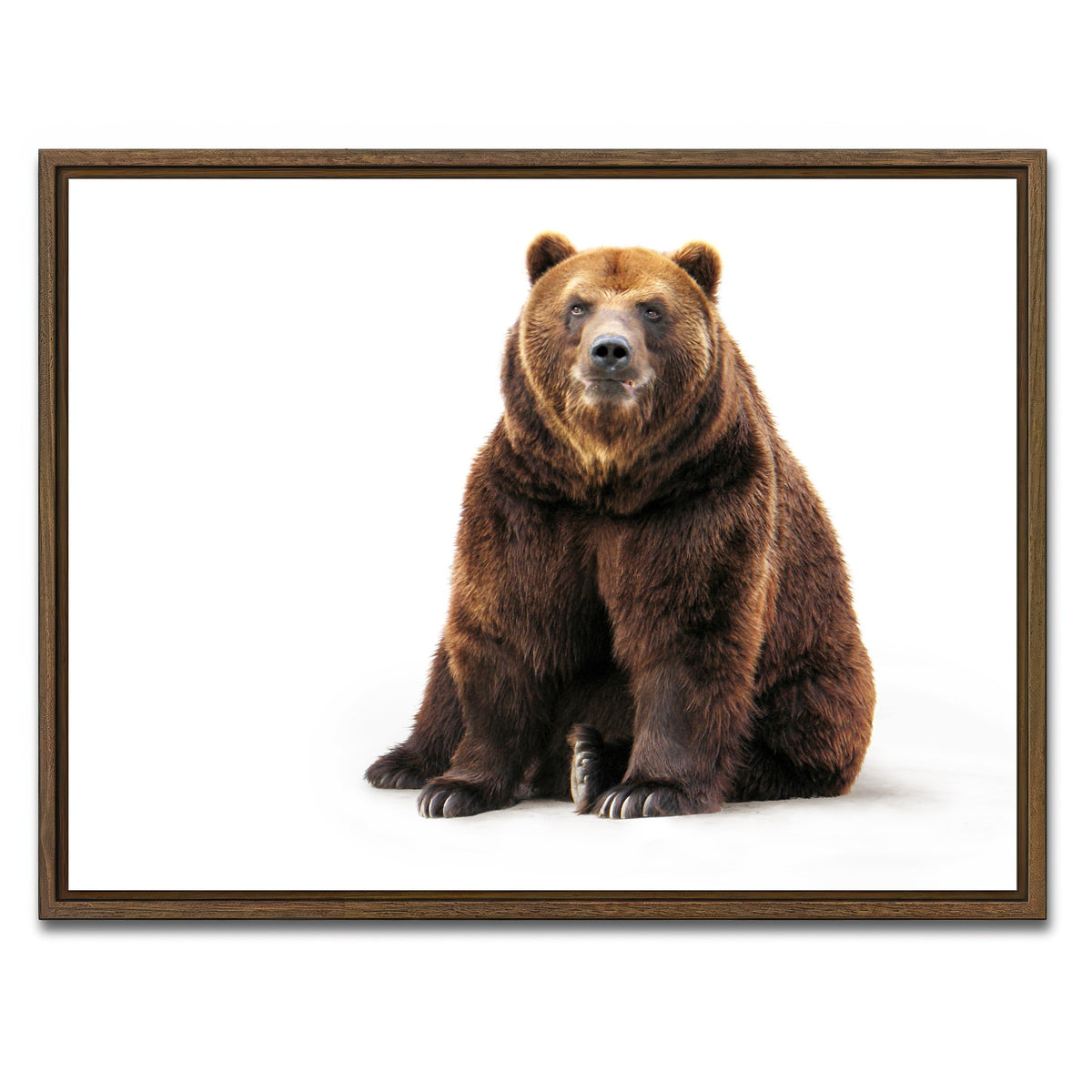 AUTO-MOCKUP WHITE | Bear on white | 1 Piece | Walnut Framed Canvas | group=4x3