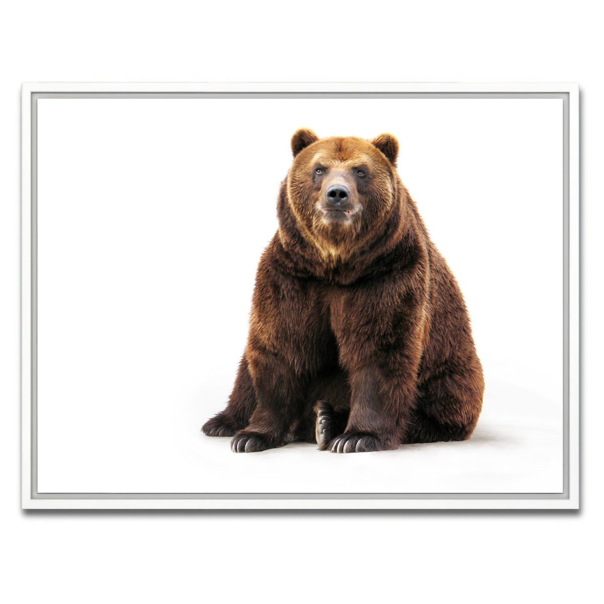 AUTO-MOCKUP WHITE | Bear on white | 1 Piece | White Framed Canvas | group=4x3