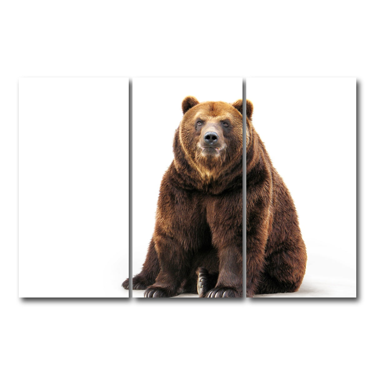 AUTO-MOCKUP WHITE | Bear on white | 3 Piece | Gallery Wrap Canvas | group=12x24