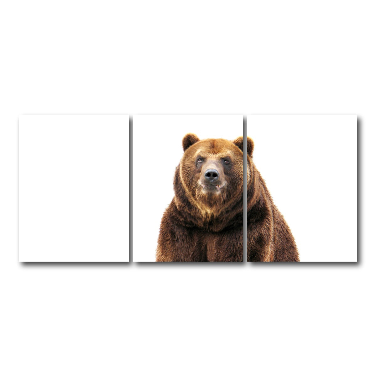 AUTO-MOCKUP WHITE | Bear on white | 3 Piece | Gallery Wrap Canvas | group=18x24