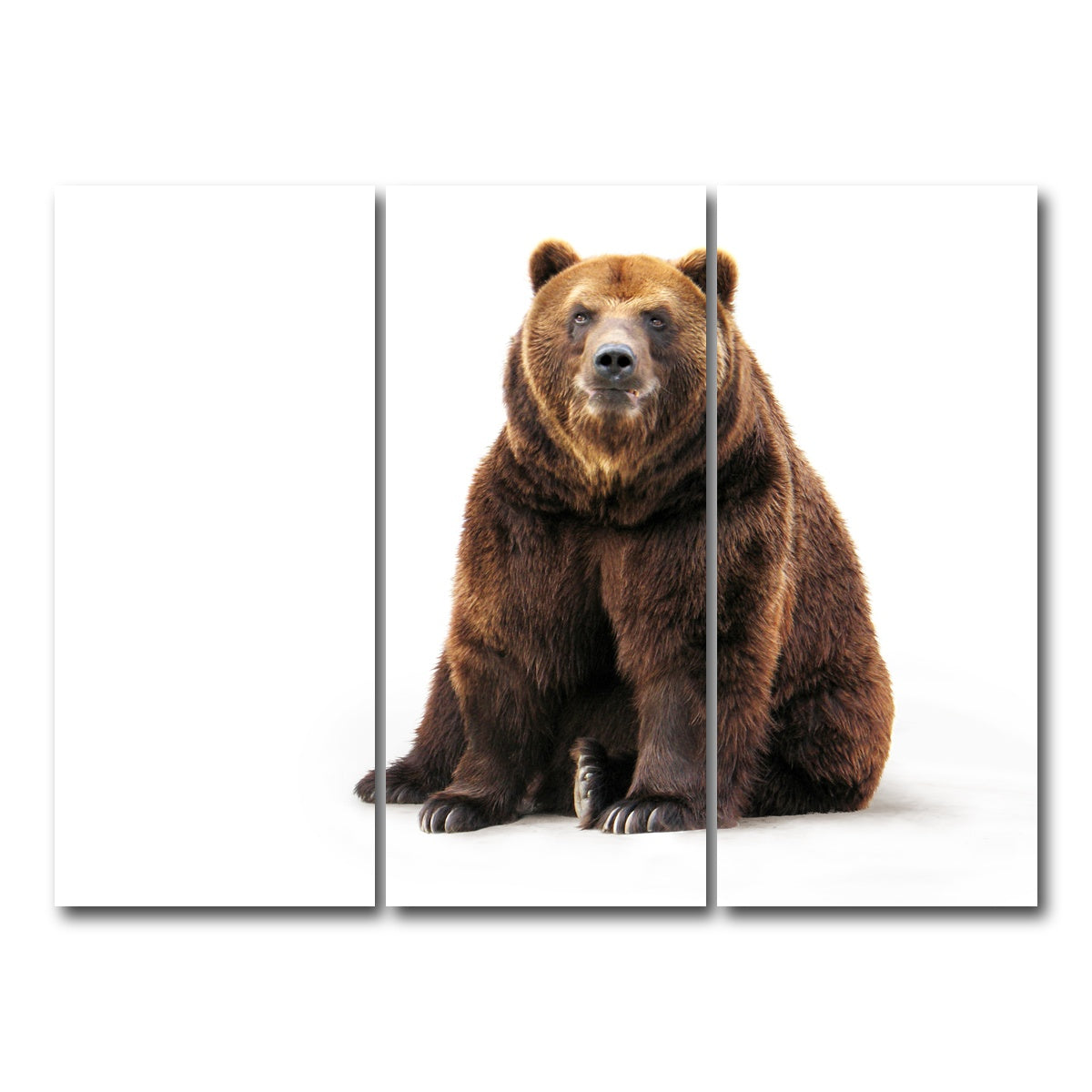 AUTO-MOCKUP WHITE | Bear on white | 3 Piece | Gallery Wrap Canvas | group=8x18