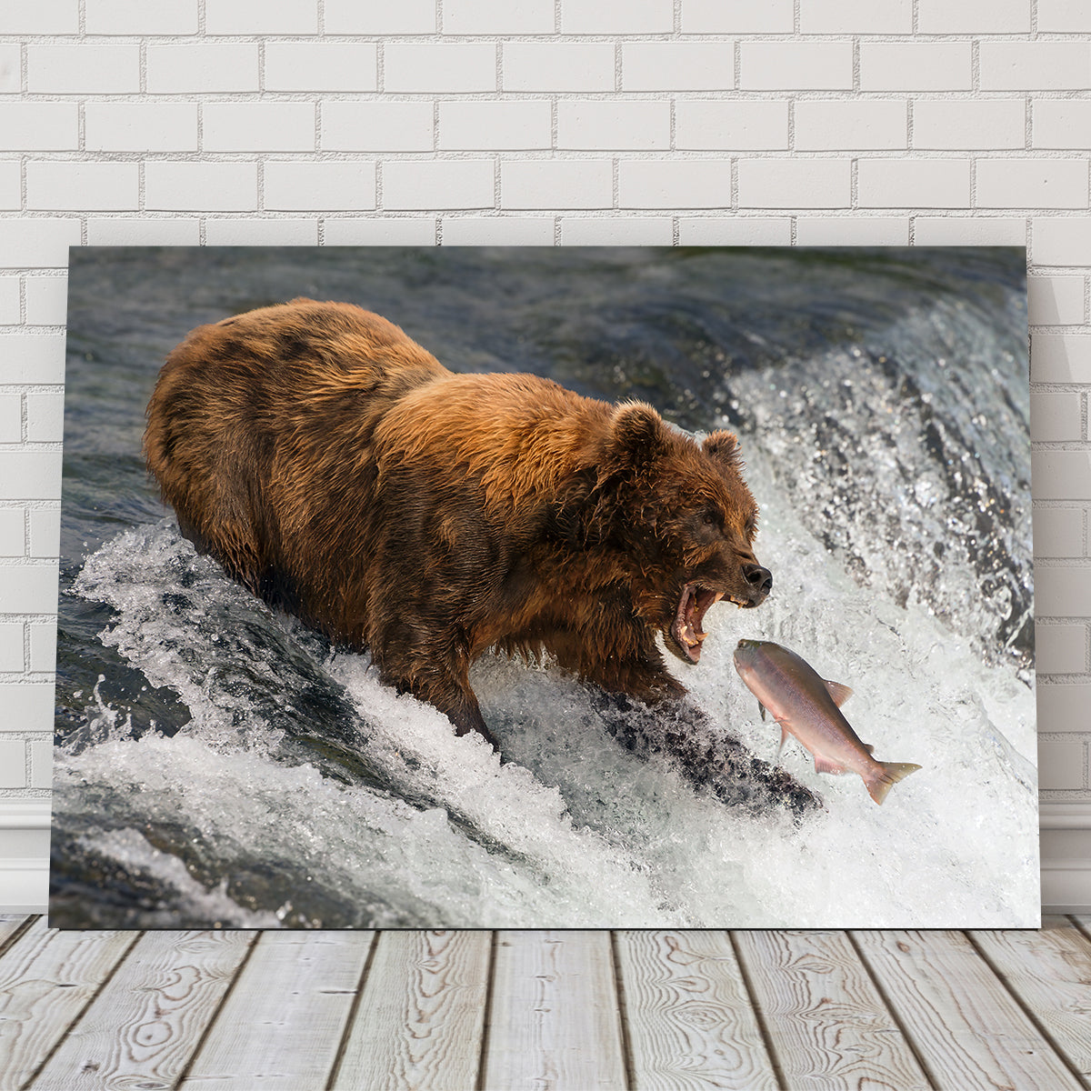 Bear Catching Salmon Wall Art