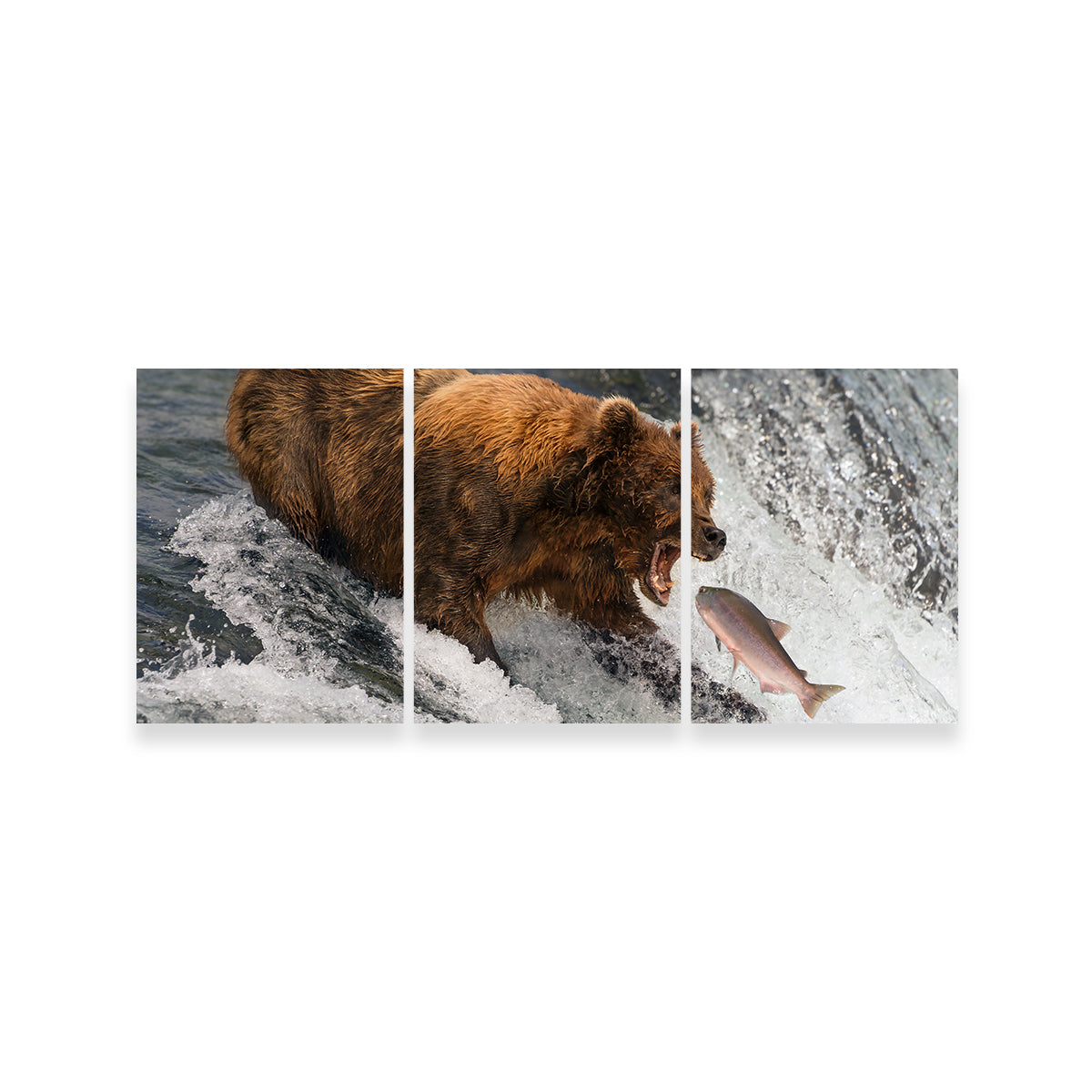Bear Catching Salmon Wall Art