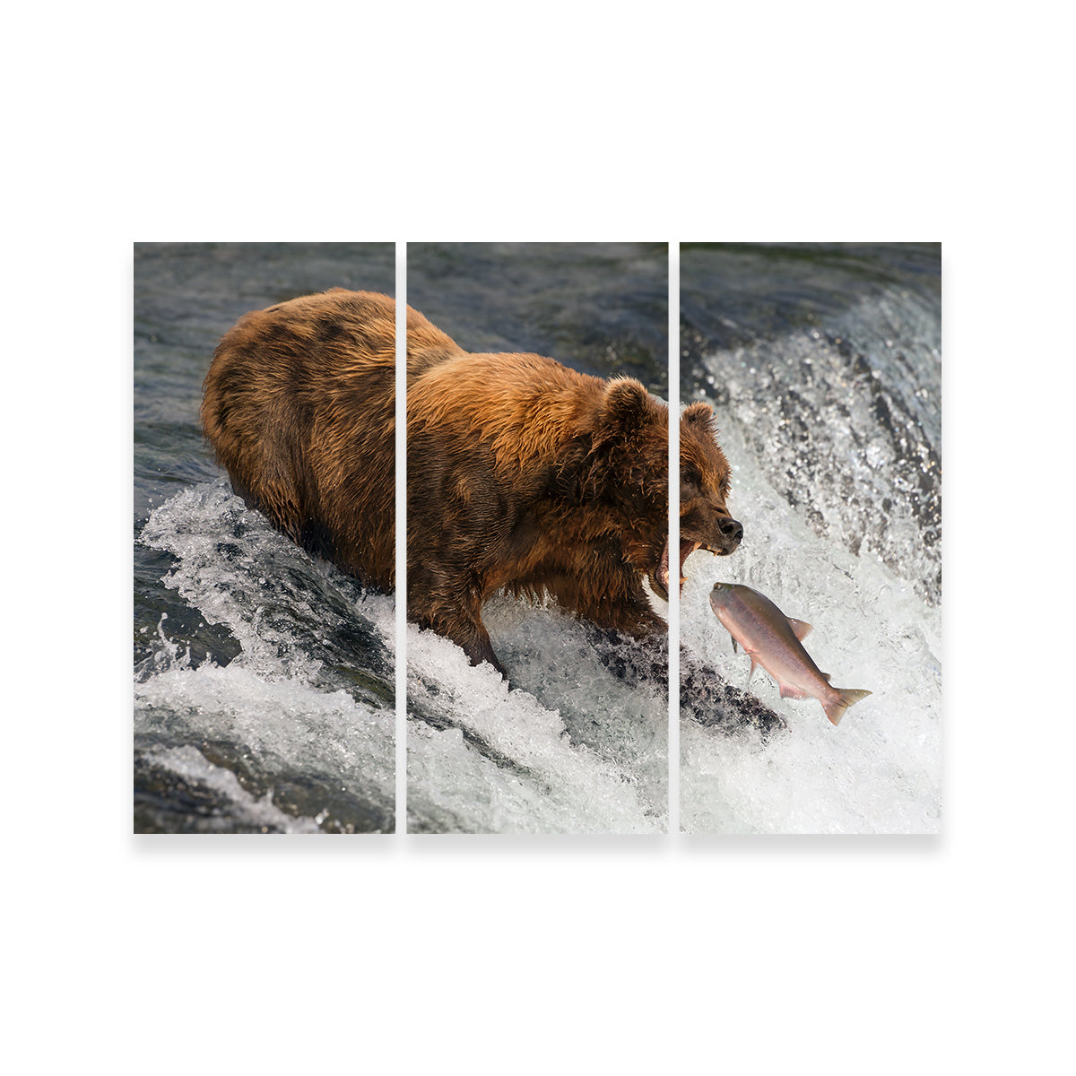 Bear Catching Salmon Wall Art