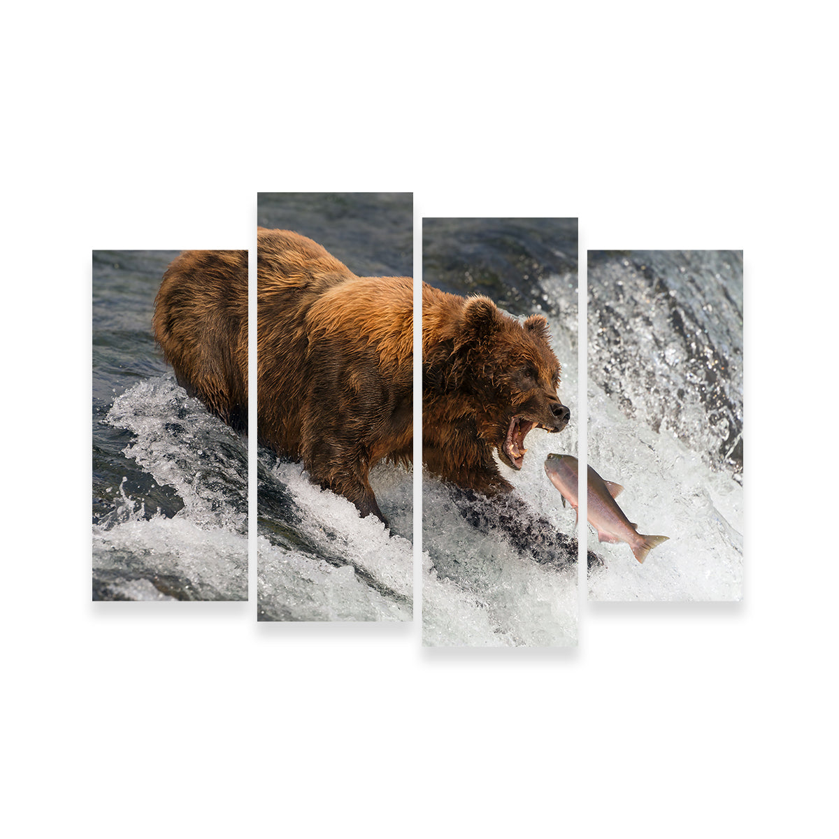 Bear Catching Salmon Wall Art