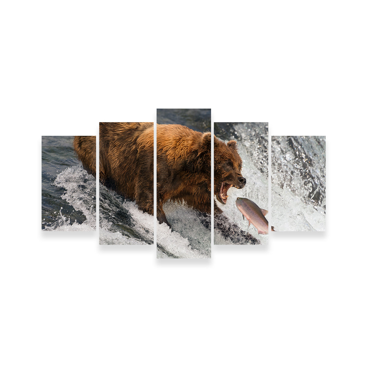 Bear Catching Salmon Wall Art
