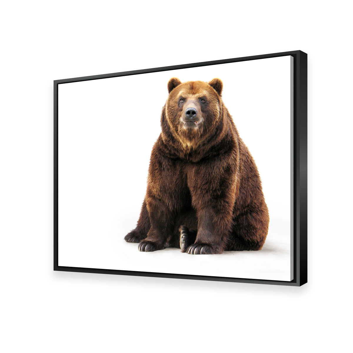 Bear on White Wall Art