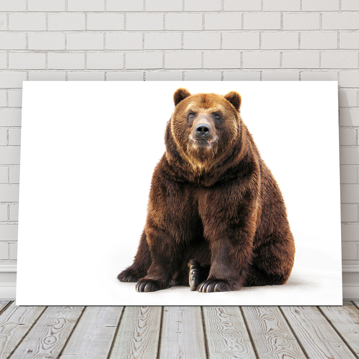 Bear on White Wall Art