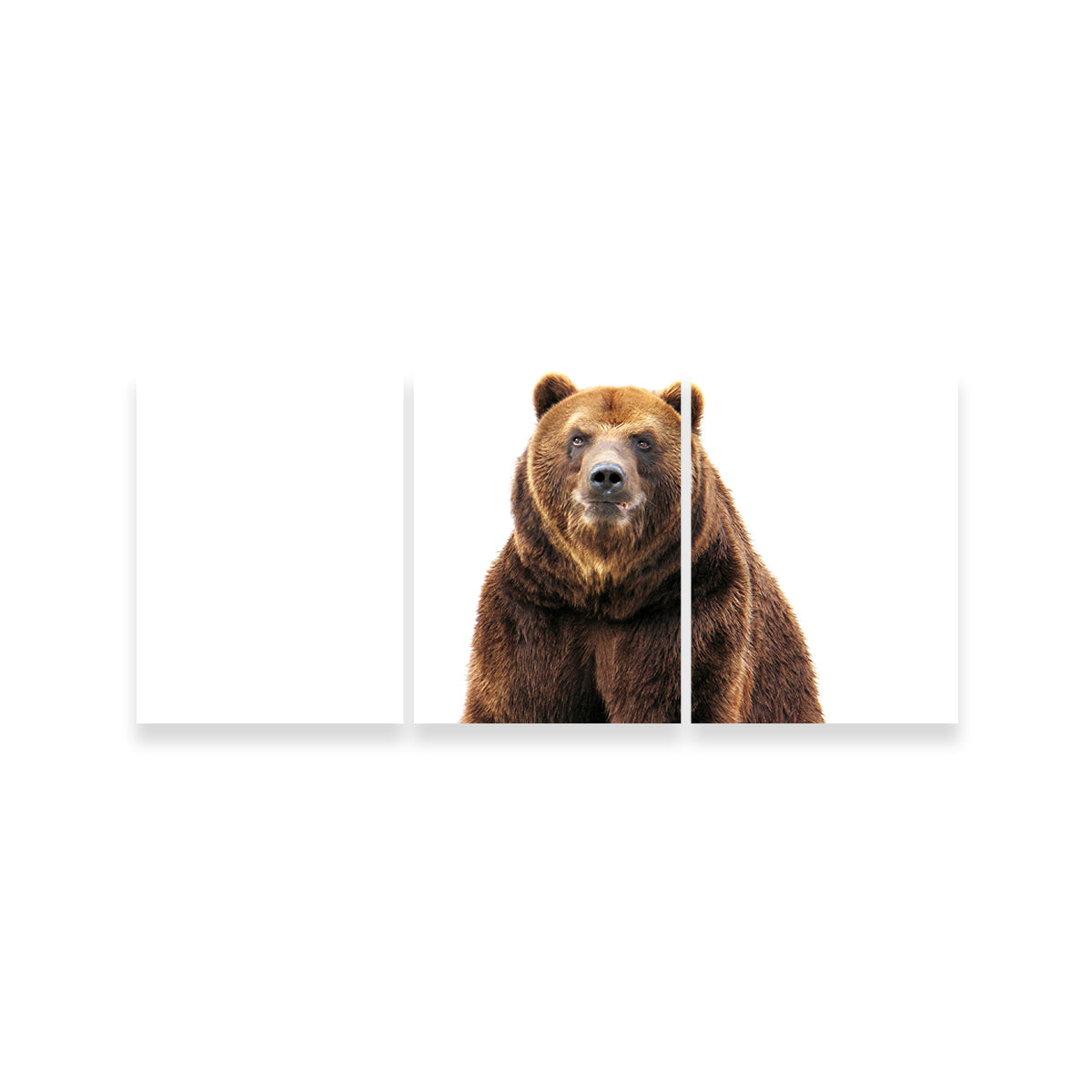 Bear on White Wall Art