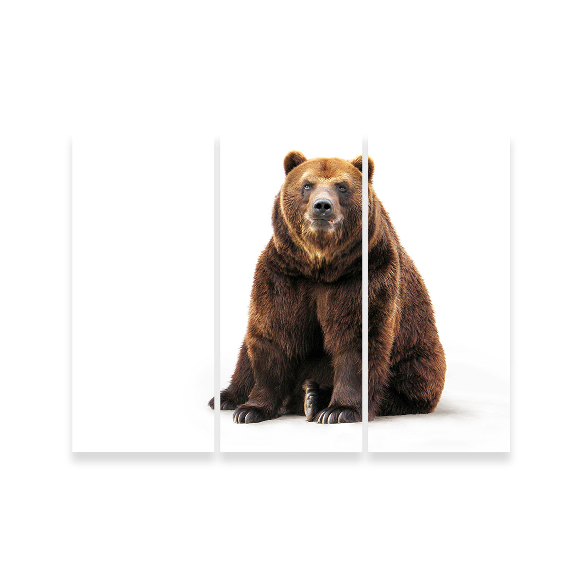 Bear on White Wall Art