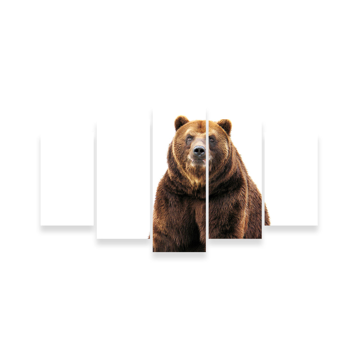 Bear on White Wall Art