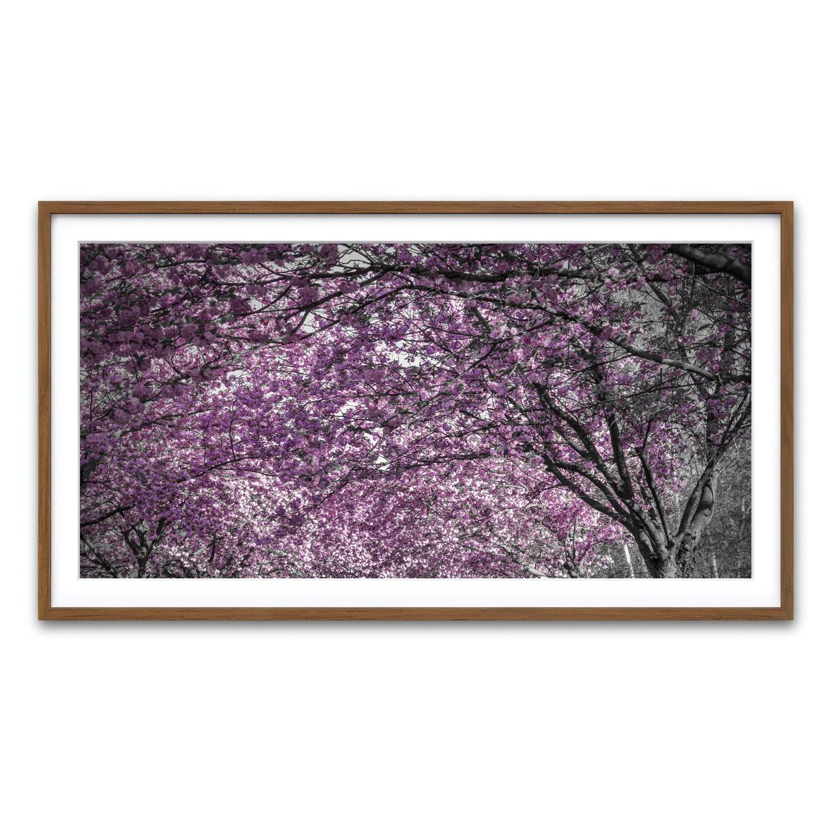 Framed Print 2x1 Walnut