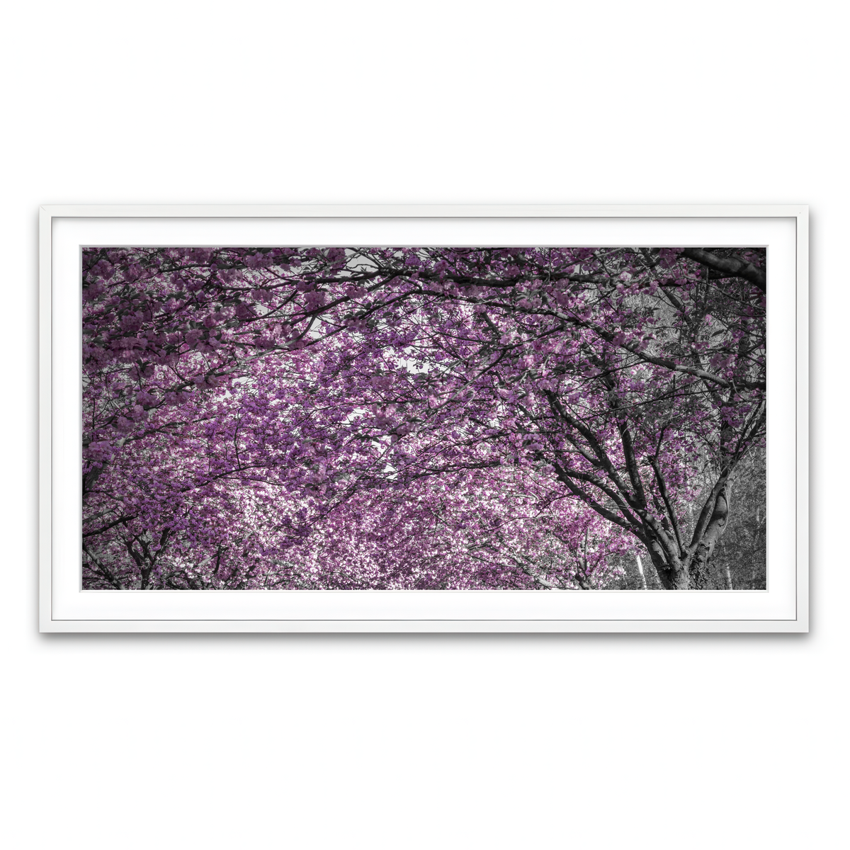 Framed Print 2x1 White